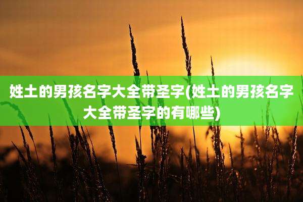 姓土的男孩名字大全带圣字(姓土的男孩名字大全带圣字的有哪些)