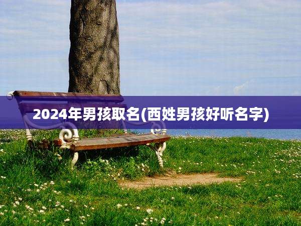 2024年男孩取名(西姓男孩好听名字)