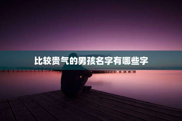 比较贵气的男孩名字有哪些字