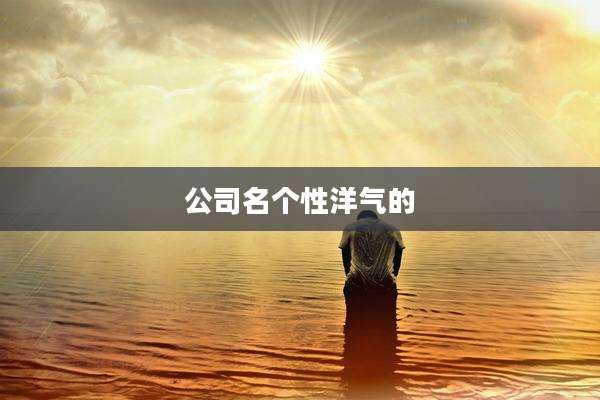 公司名个性洋气的
