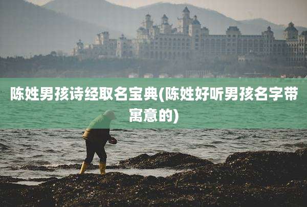 陈姓男孩诗经取名宝典(陈姓好听男孩名字带寓意的)