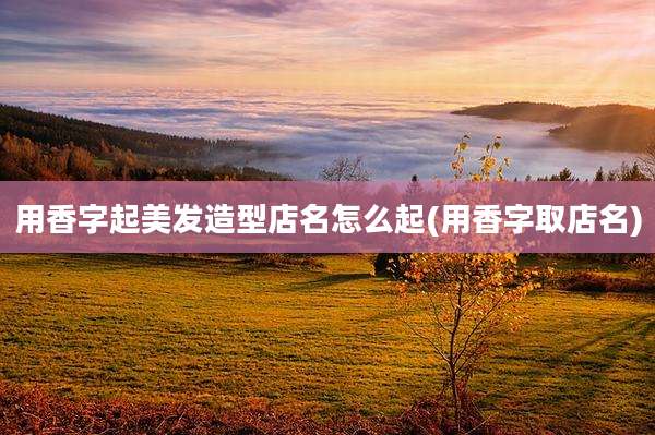 用香字起美发造型店名怎么起(用香字取店名)