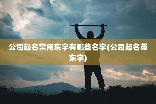 公司起名常用东字有哪些名字(公司起名带东字)