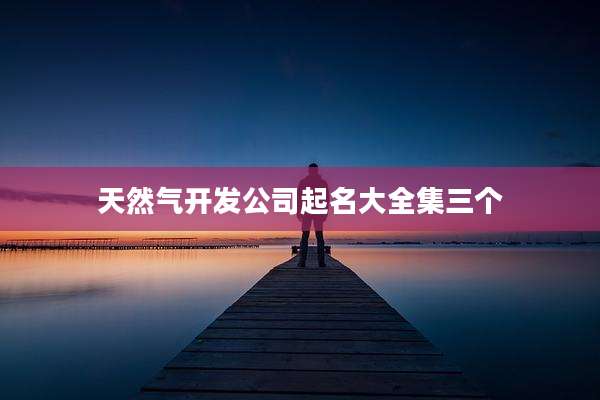天然气开发公司起名大全集三个