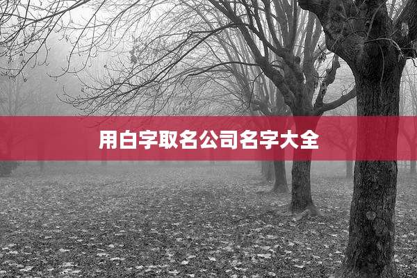 用白字取名公司名字大全