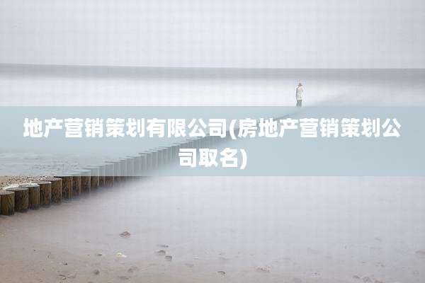 地产营销策划有限公司(房地产营销策划公司取名)