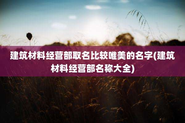 建筑材料经营部取名比较唯美的名字(建筑材料经营部名称大全)