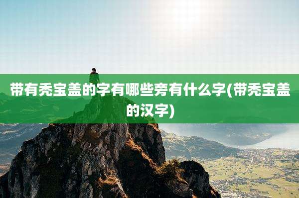 带有秃宝盖的字有哪些旁有什么字(带秃宝盖的汉字)
