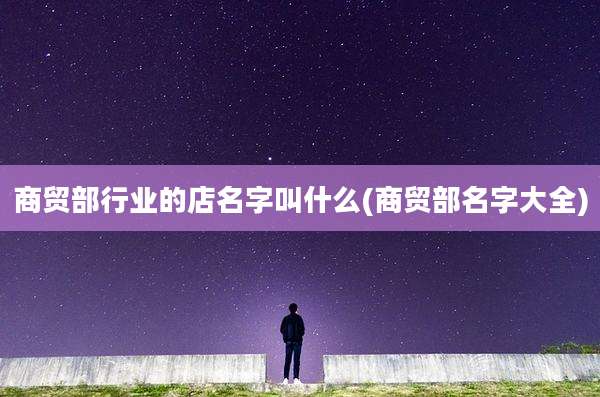 商贸部行业的店名字叫什么(商贸部名字大全)
