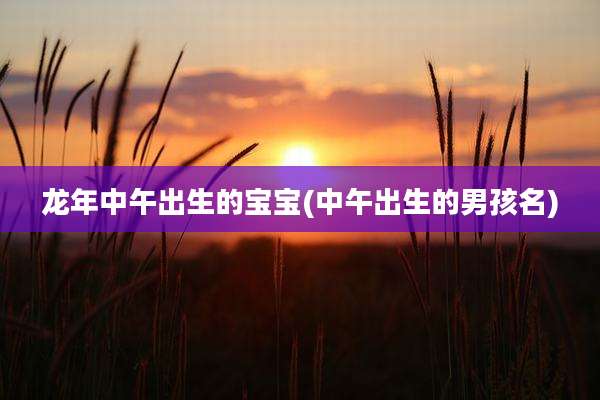 龙年中午出生的宝宝(中午出生的男孩名)