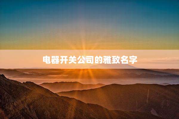 电器开关公司的雅致名字