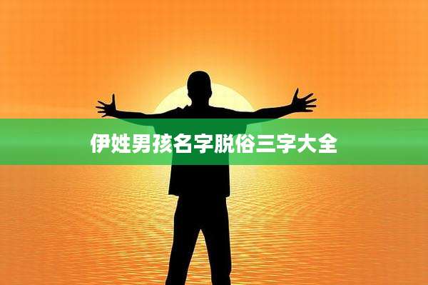 伊姓男孩名字脱俗三字大全