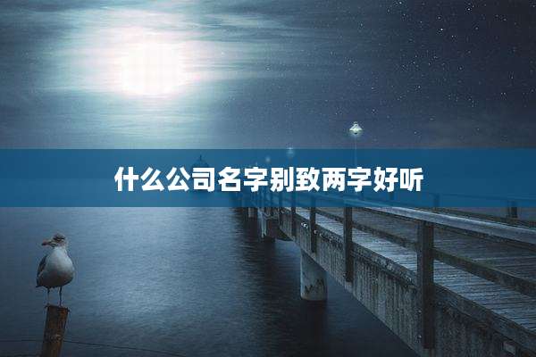 什么公司名字别致两字好听