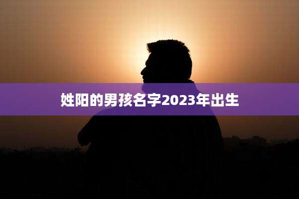 姓阳的男孩名字2023年出生