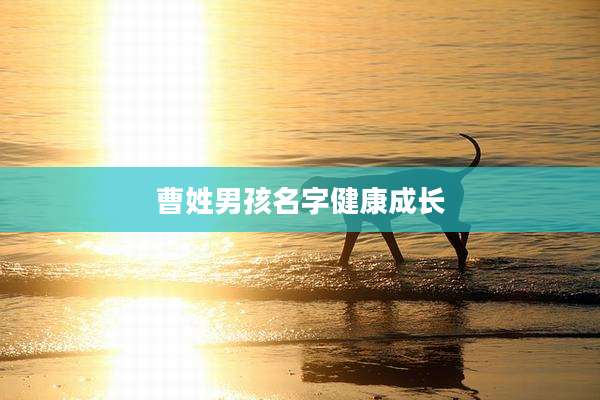 曹姓男孩名字健康成长
