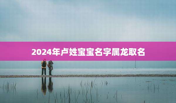 2024年卢姓宝宝名字属龙取名
