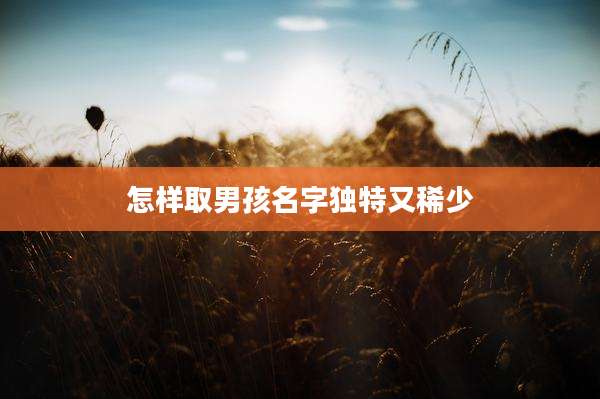 怎样取男孩名字独特又稀少