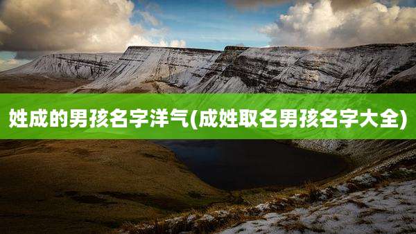 姓成的男孩名字洋气(成姓取名男孩名字大全)