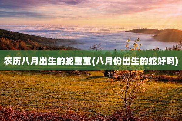 农历八月出生的蛇宝宝(八月份出生的蛇好吗)