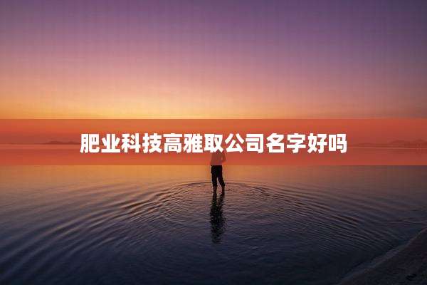 肥业科技高雅取公司名字好吗