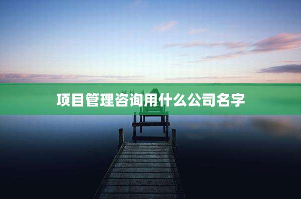 项目管理咨询用什么公司名字