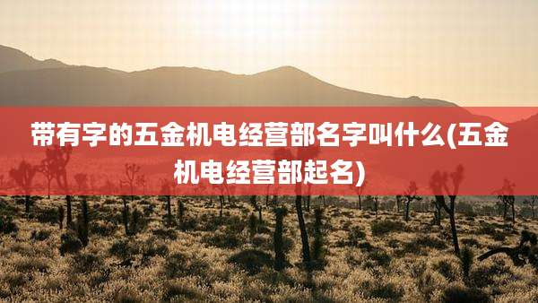 带有字的五金机电经营部名字叫什么(五金机电经营部起名)