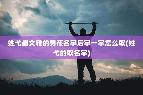 姓弋最文雅的男孩名字后字一字怎么取(姓弋的取名字)