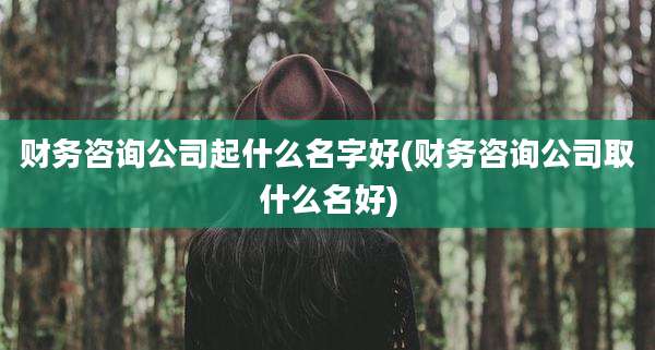 财务咨询公司起什么名字好(财务咨询公司取什么名好)