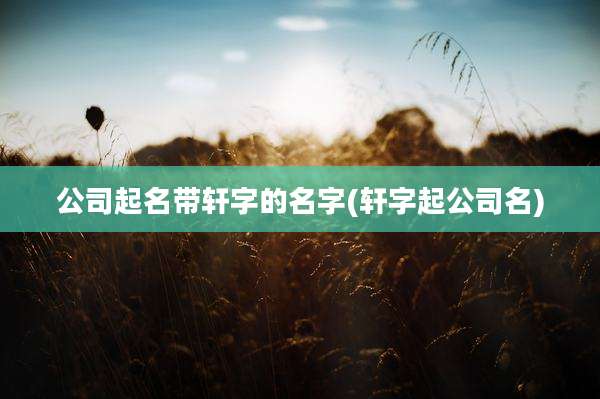 公司起名带轩字的名字(轩字起公司名)