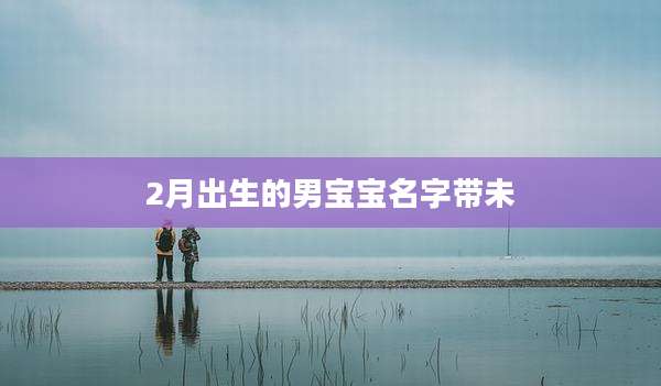 2月出生的男宝宝名字带未