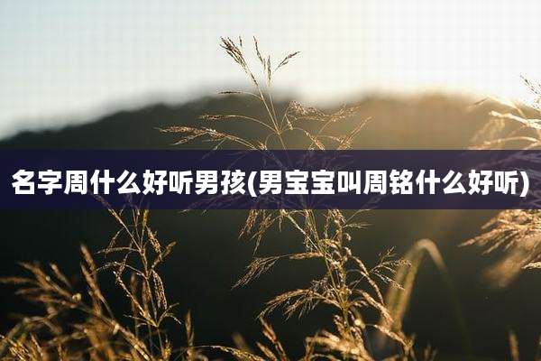 名字周什么好听男孩(男宝宝叫周铭什么好听)