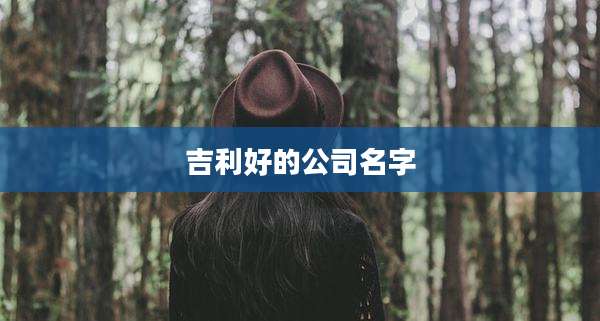 吉利好的公司名字