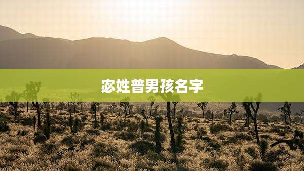 宓姓普男孩名字