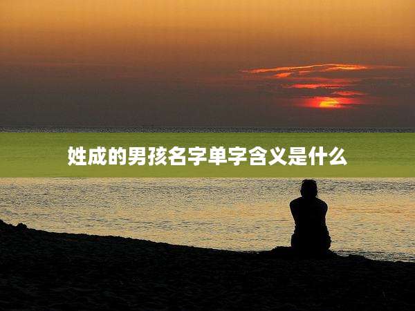 姓成的男孩名字单字含义是什么
