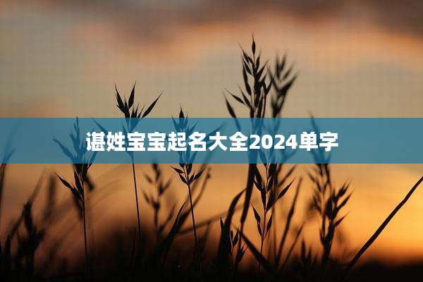 谌姓宝宝起名大全2024单字
