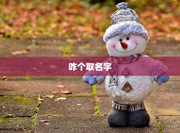 咋个取名字
