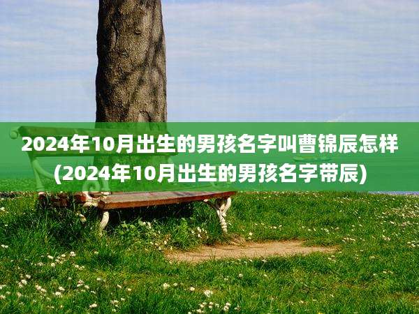 2024年10月出生的男孩名字叫曹锦辰怎样(2024年10月出生的男孩名字带辰)