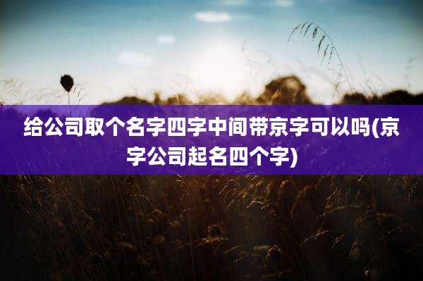 给公司取个名字四字中间带京字可以吗(京字公司起名四个字)