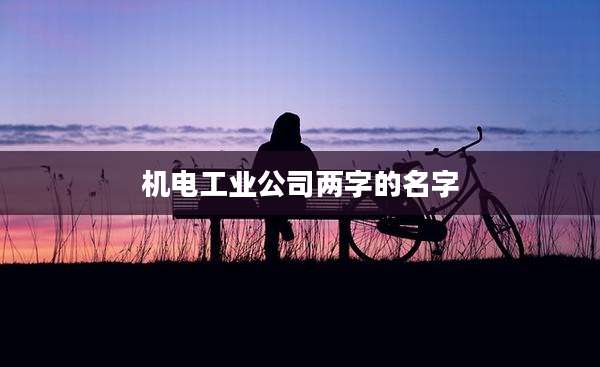 机电工业公司两字的名字