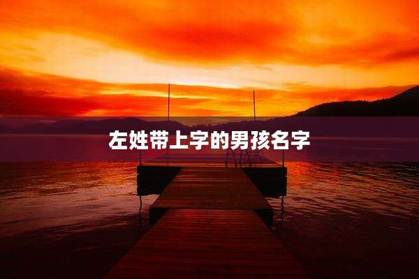 左姓带上字的男孩名字