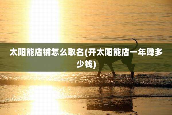 太阳能店铺怎么取名(开太阳能店一年赚多少钱)