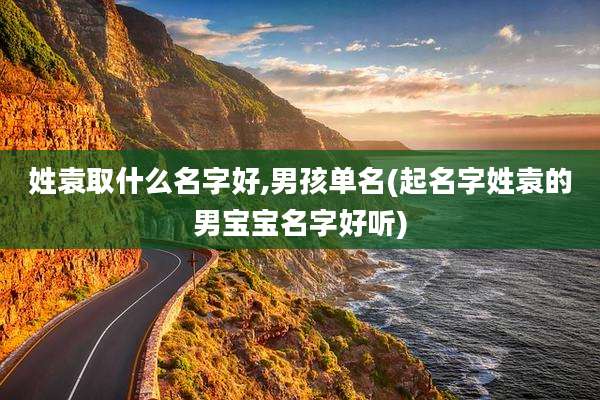 姓袁取什么名字好,男孩单名(起名字姓袁的男宝宝名字好听)