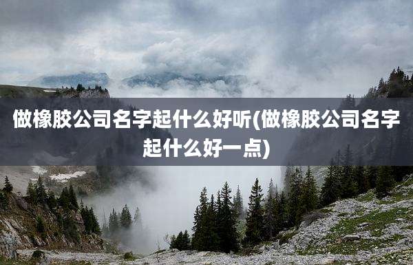 做橡胶公司名字起什么好听(做橡胶公司名字起什么好一点)