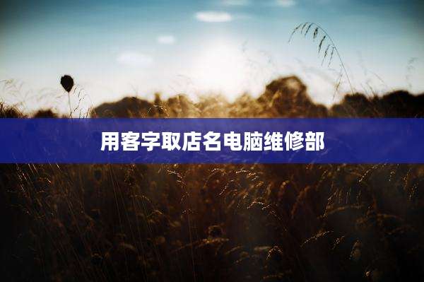 用客字取店名电脑维修部