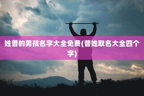 姓普的男孩名字大全免费(普姓取名大全四个字)