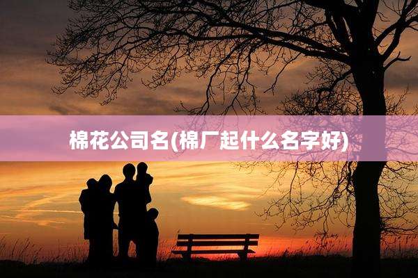 棉花公司名(棉厂起什么名字好)