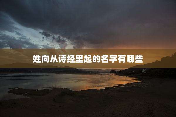 姓向从诗经里起的名字有哪些