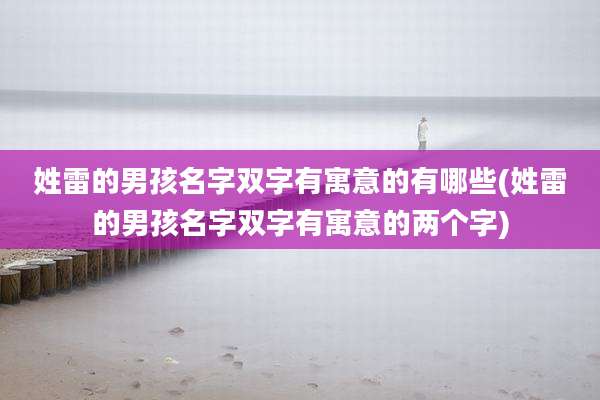 姓雷的男孩名字双字有寓意的有哪些(姓雷的男孩名字双字有寓意的两个字)