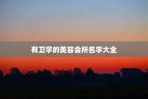 有卫字的美容会所名字大全