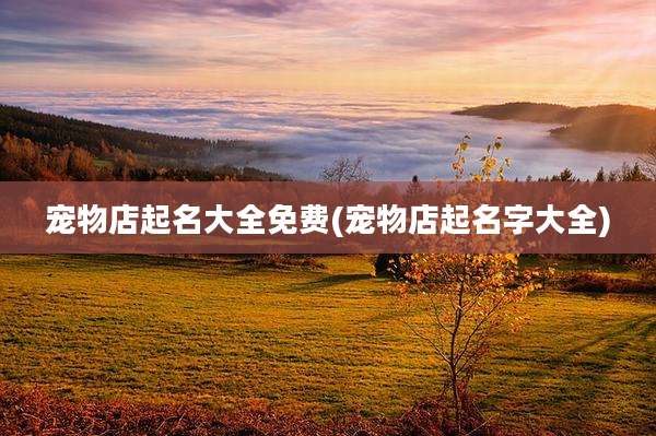 宠物店起名大全免费(宠物店起名字大全)